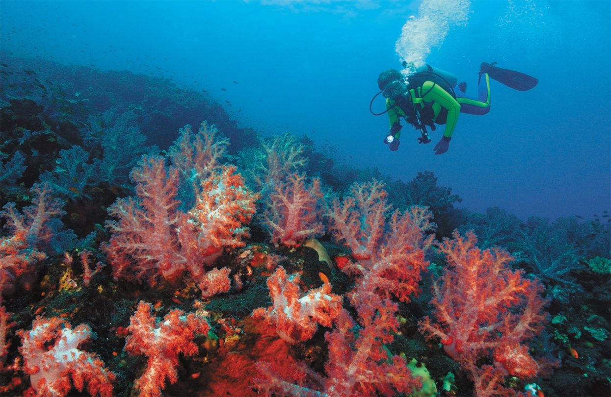 Barren Island - Andaman & Nicobar Islands, India