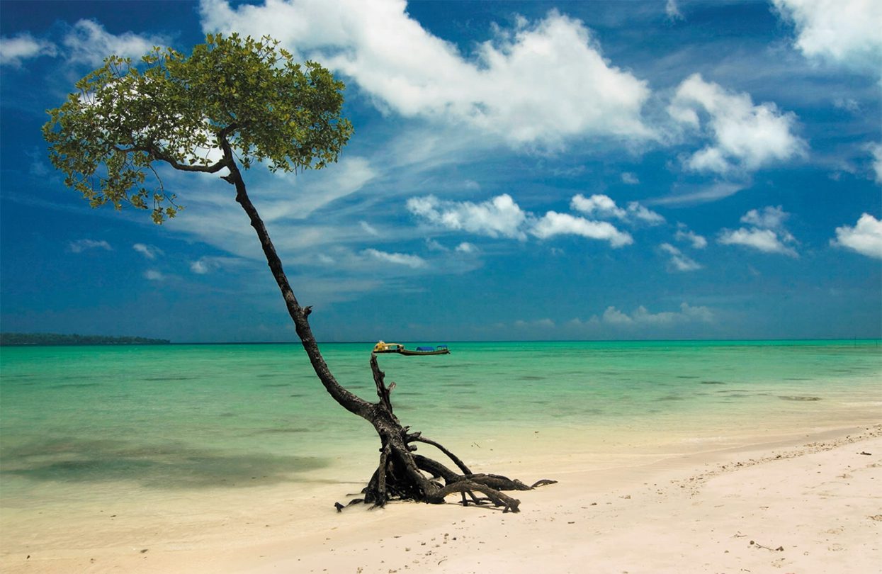 Pristine beaches at Havelock Island - Andaman & Nicobar Islands, India