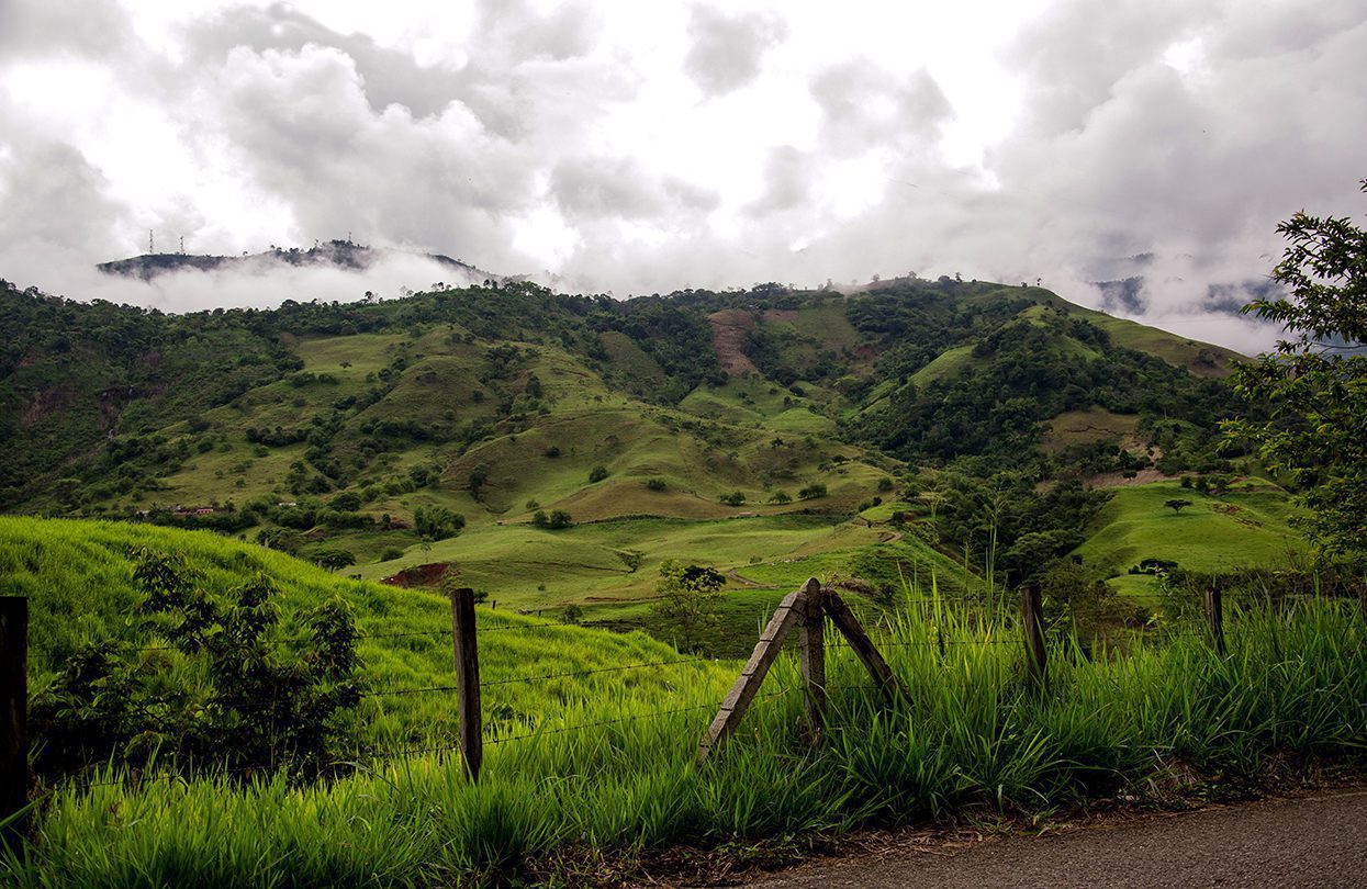 Head into the luscious hills of Colombia's largest coffee region-2