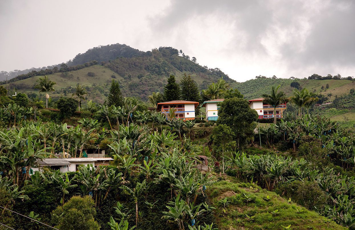 Head into the luscious hills of Colombia's largest coffee region