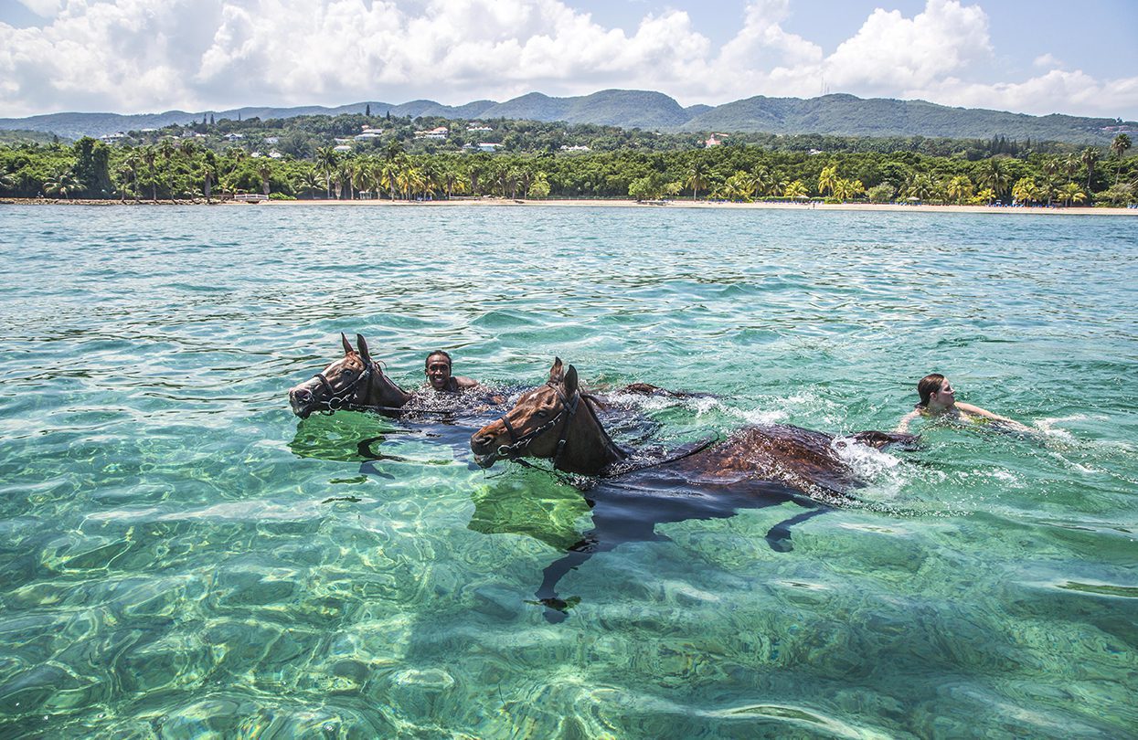 Frolick with horses at Half Moon Jamaica