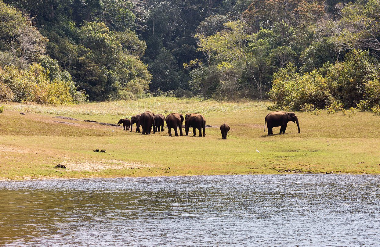 A Weekend In Kerala