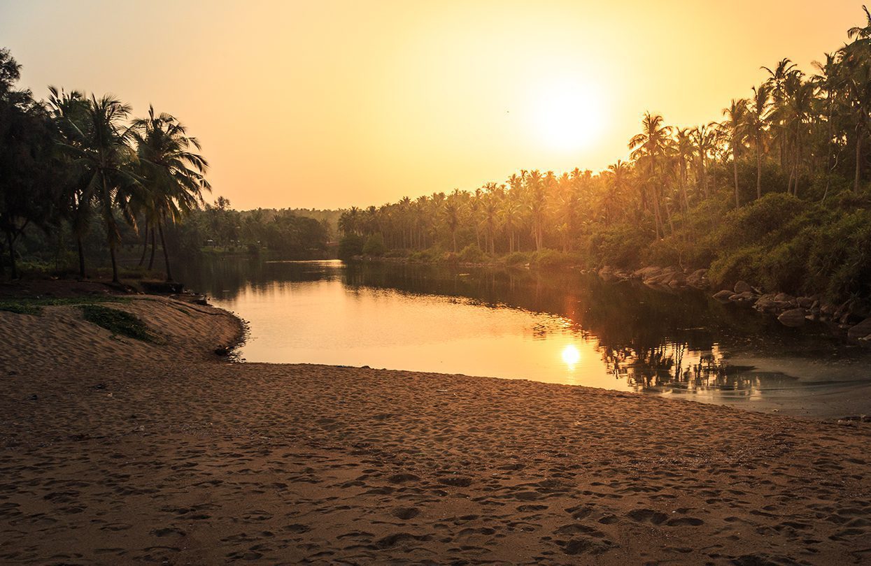 Coconut tree-lined backwaters in Kumarakom