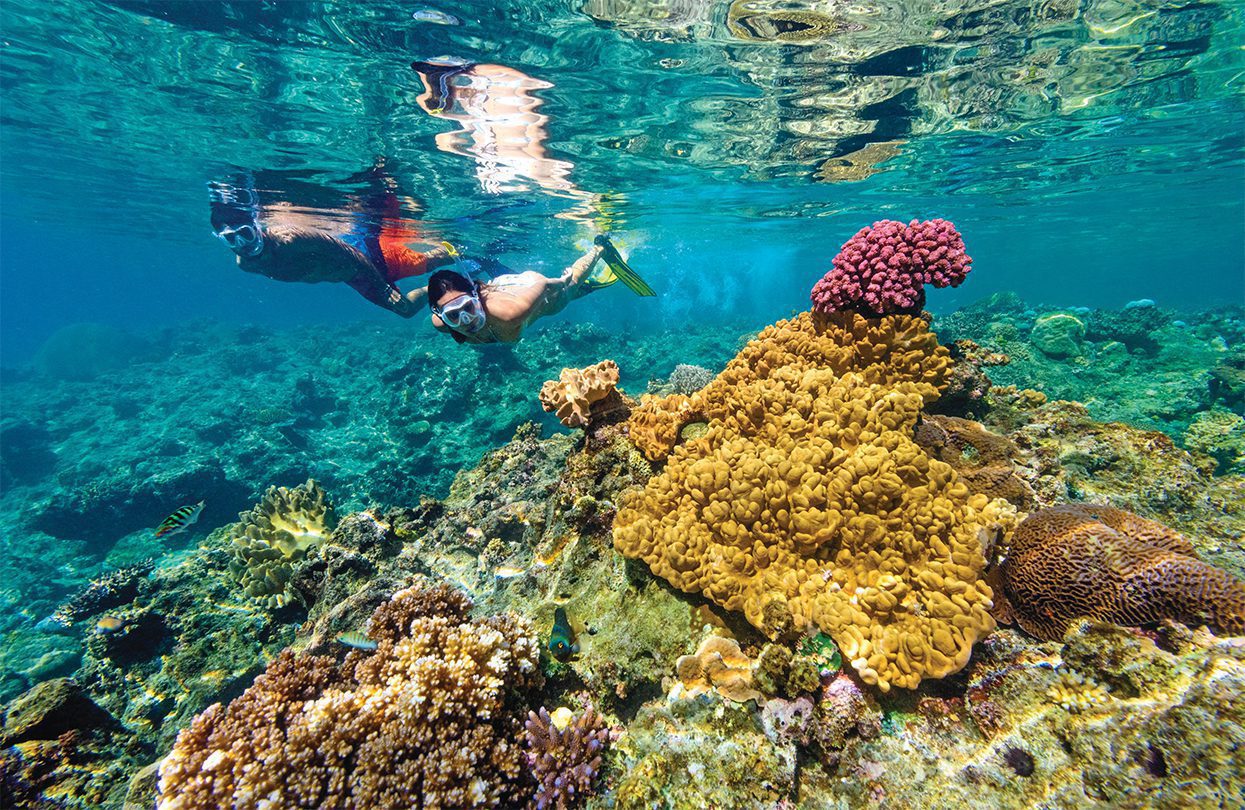 Couple snorkelling near coral head, image by Tourism Fiji