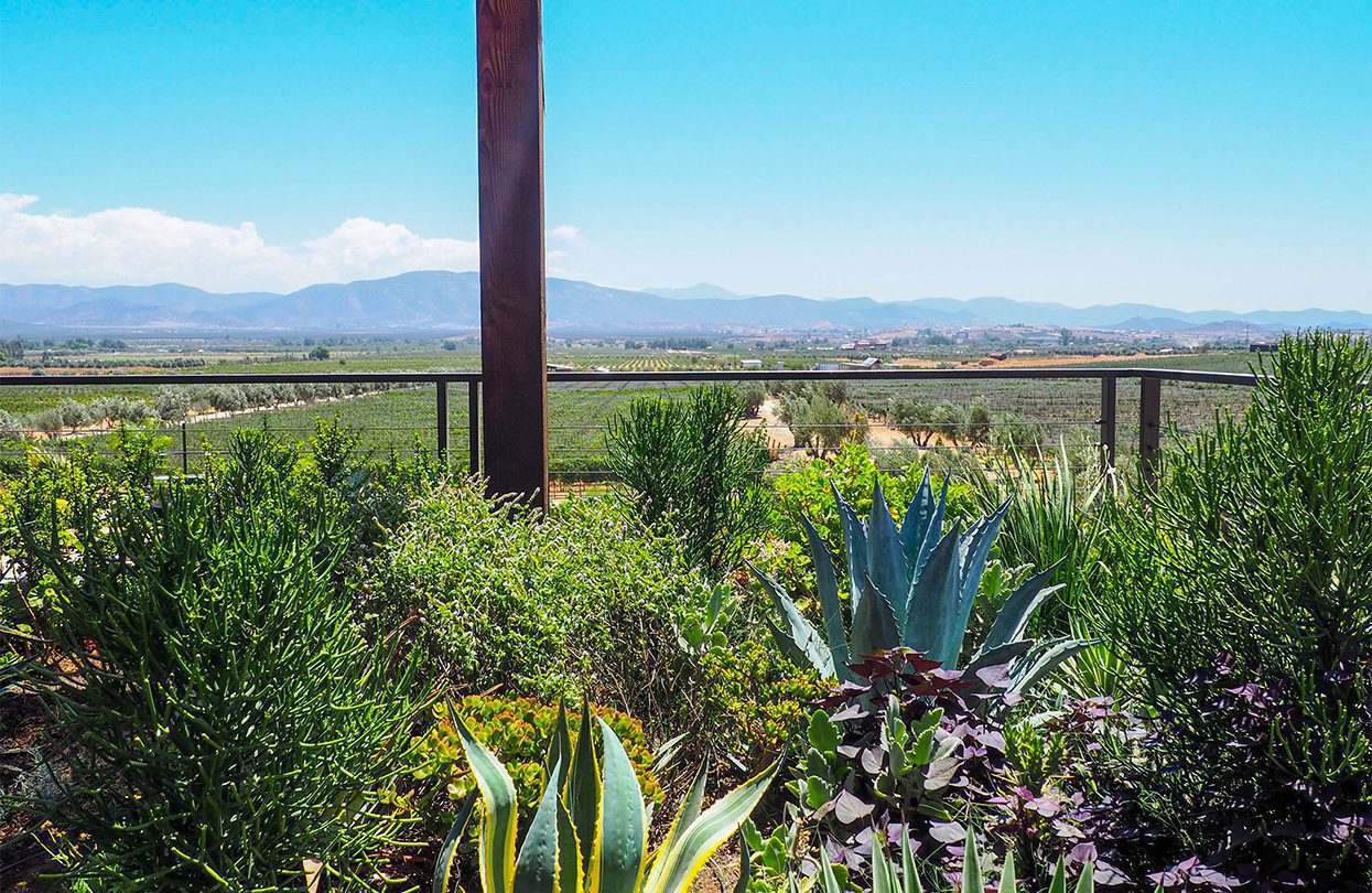 The best seat in the Valle may very well be atop the terrace at Finca La Carrodilla, especially with an organic Syrah and a cheese plate