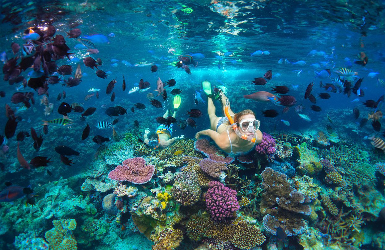 Snorklling in Vanuatu by David Kirkland