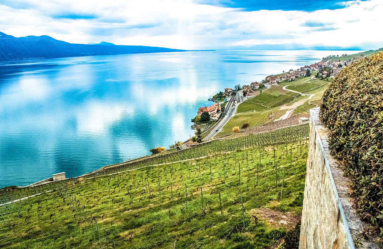 The steeply terraced vineyards of Levaux overlook the lake, by Vincent Sung