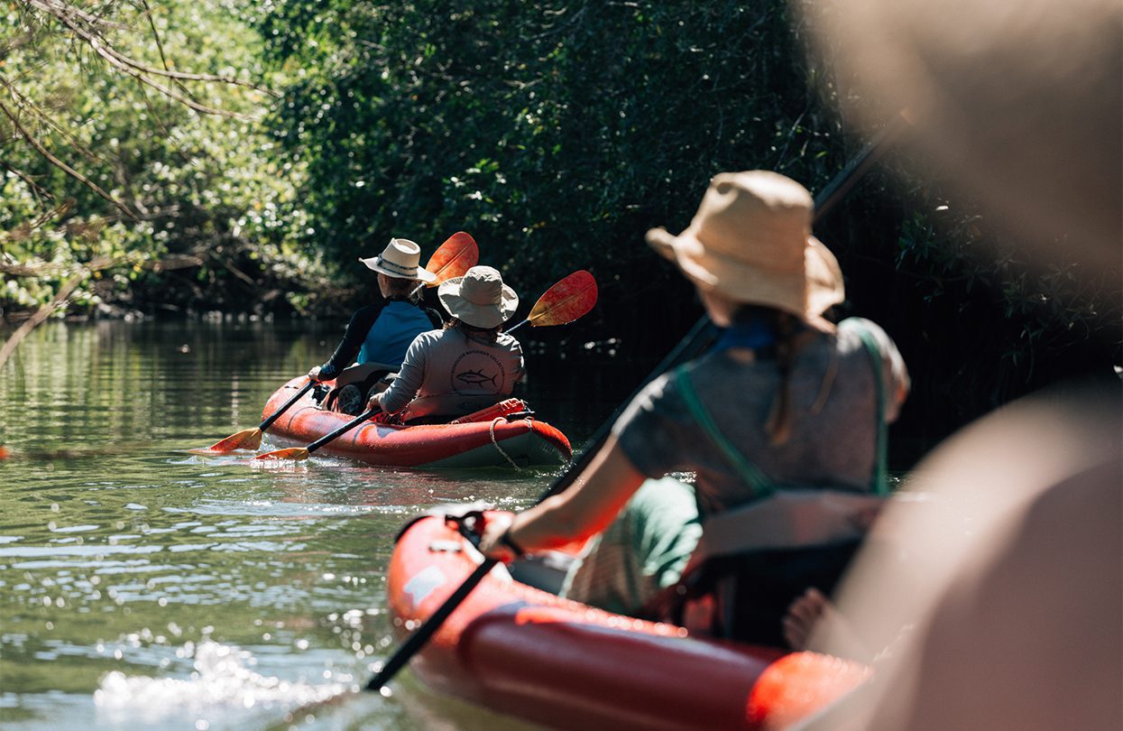 Excursions by boat to explore the nearby caves