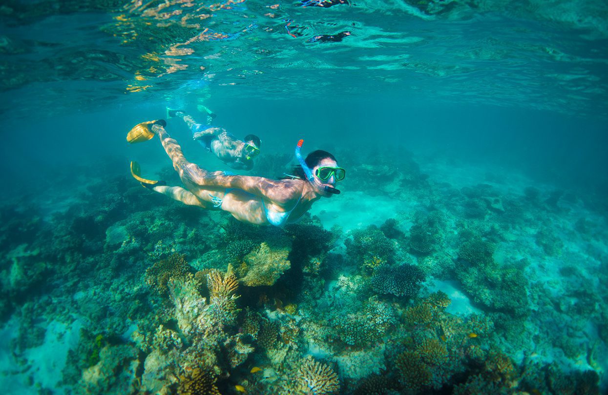 Snorkeling at Turquoise Bay - Ningaloo Reef by David Kirkland , Coral Coast Tourism