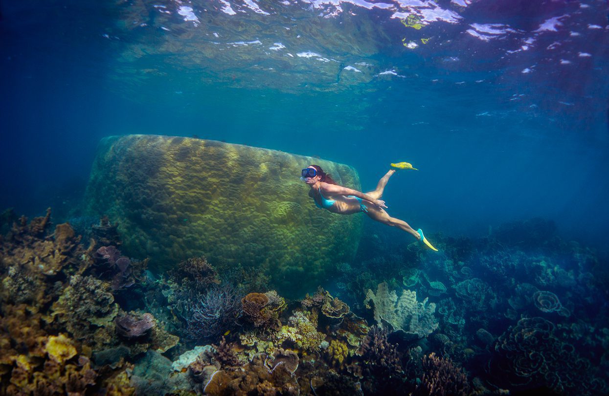 Snorkeling in Coral Bay - Ningaloo Reef by David Kirkland, Coral Coast Tourism