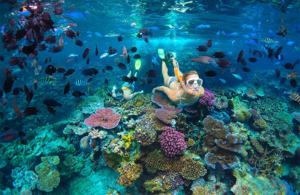 Snorklling in Vanuatu, photo by David Kirkland