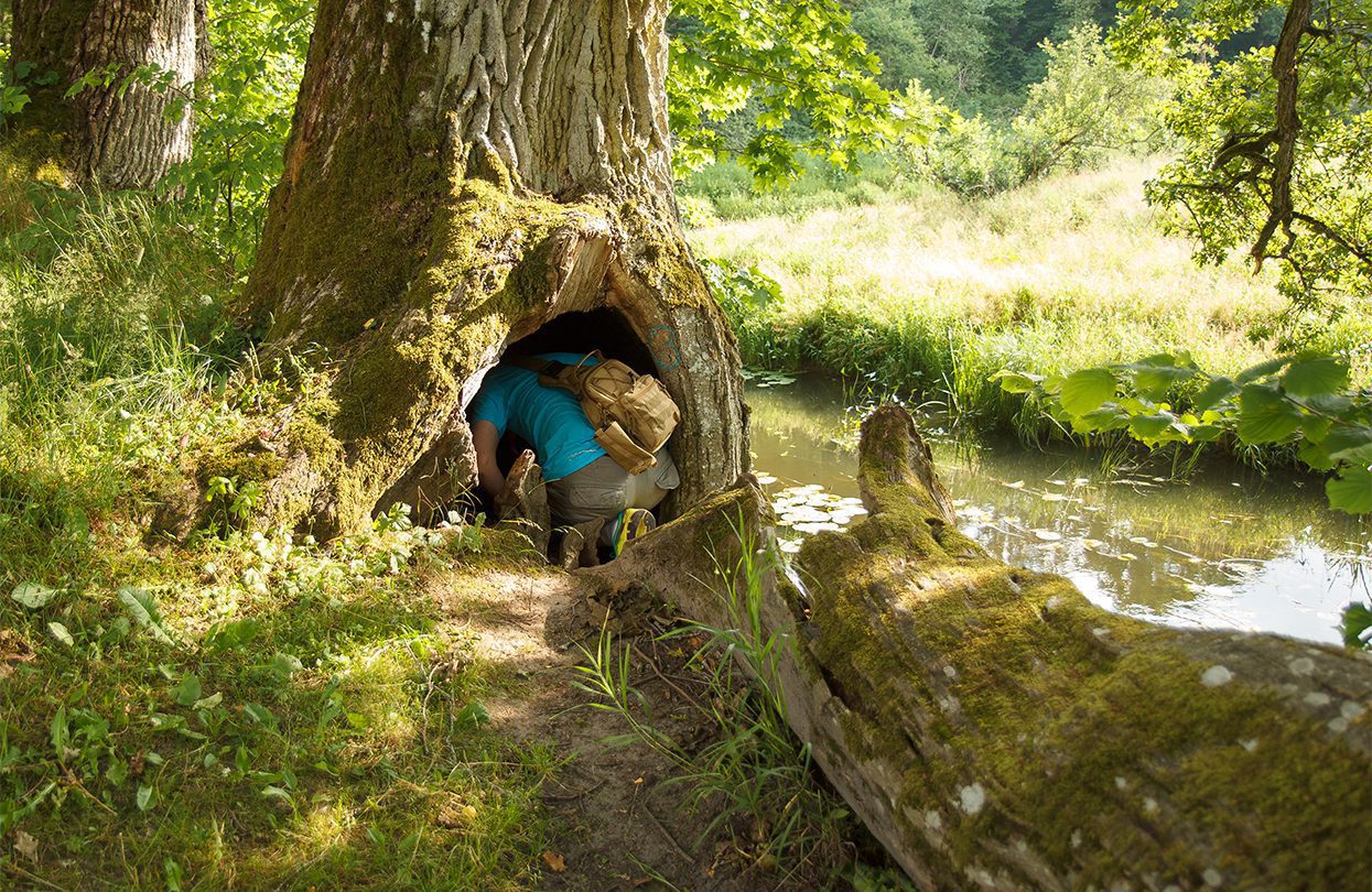 Searching for a well-hidden geocache, photo by Aigars Reinholds