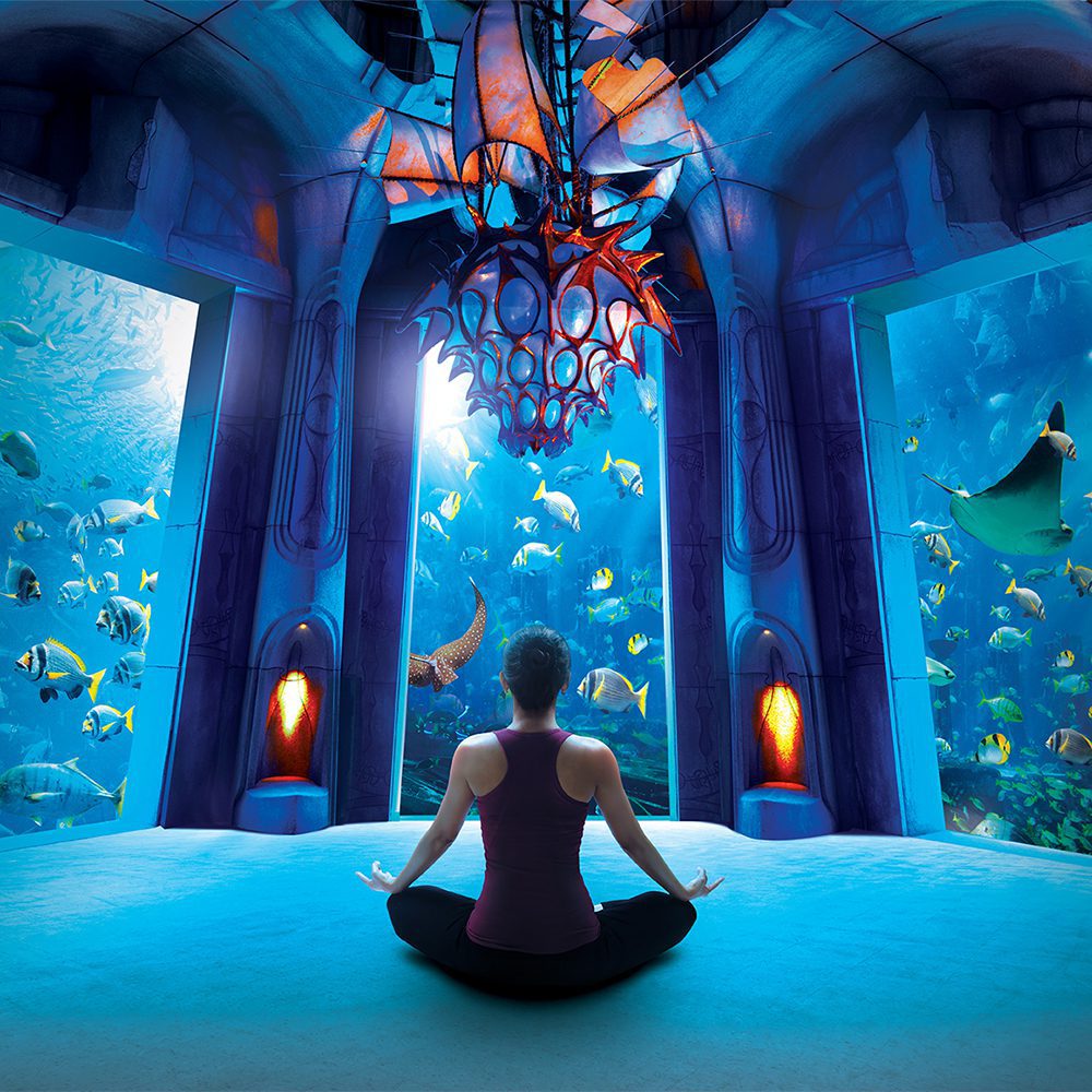 The Lost Chambers Aquarium underwater yoga