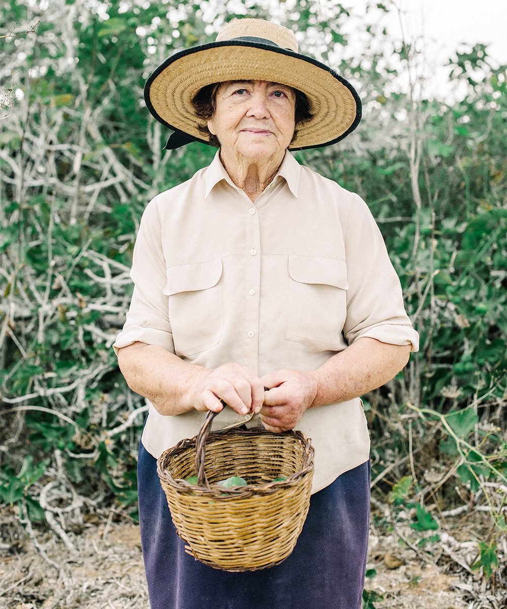 Locals still forage for wild food