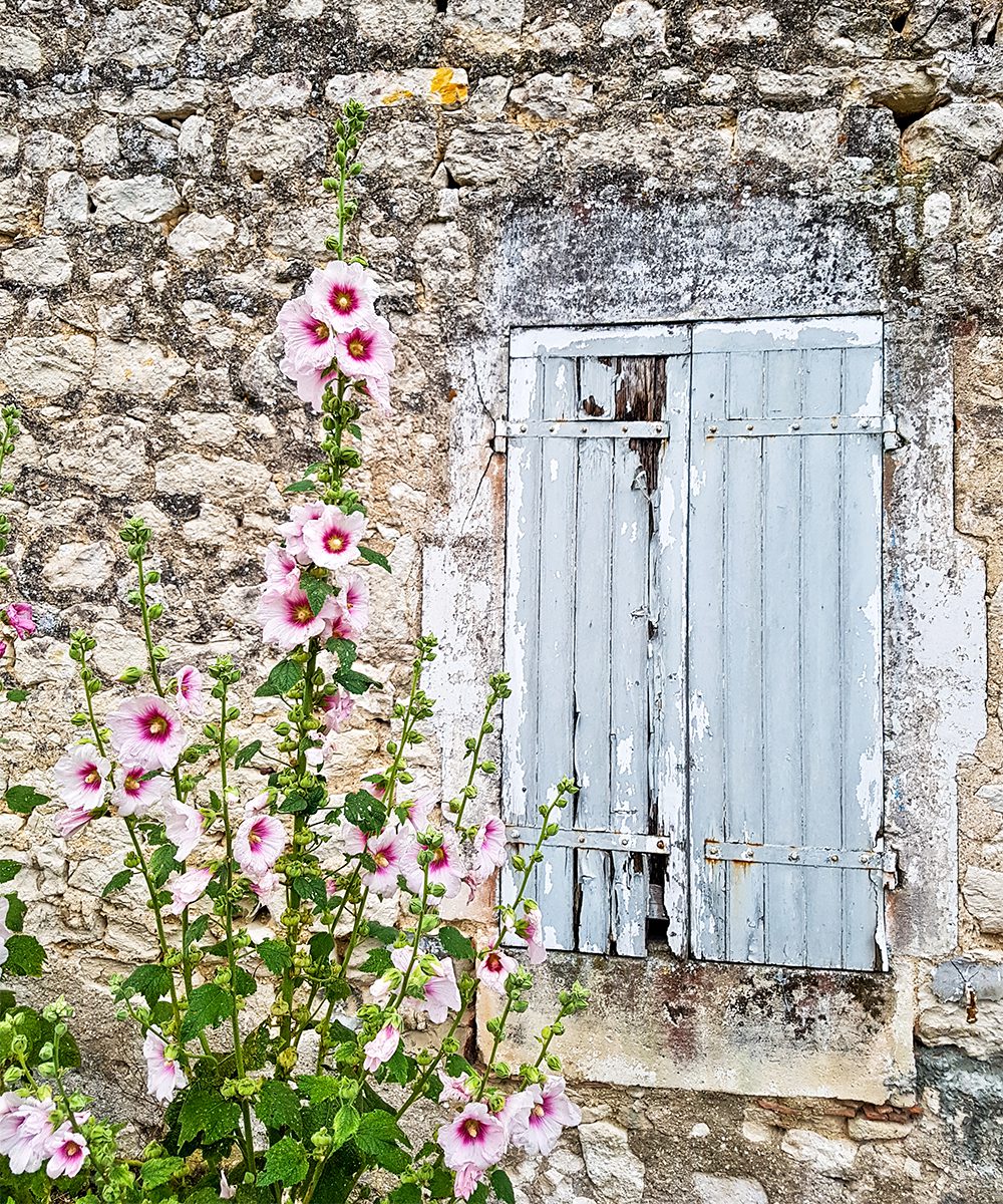 Floral wanders in local villages