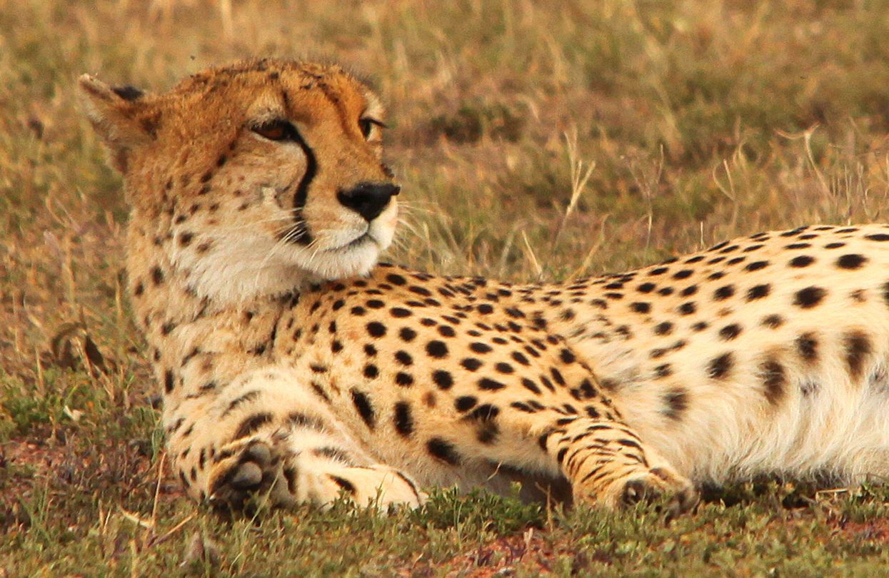 Mahali mzuri safari