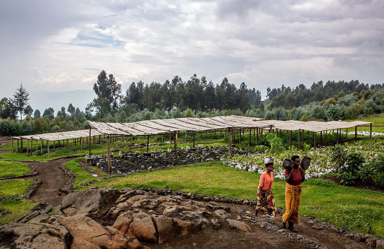 Akarabo Nursery