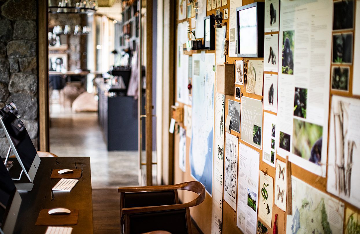 Singita Kwitonda Lodge, Conservation room