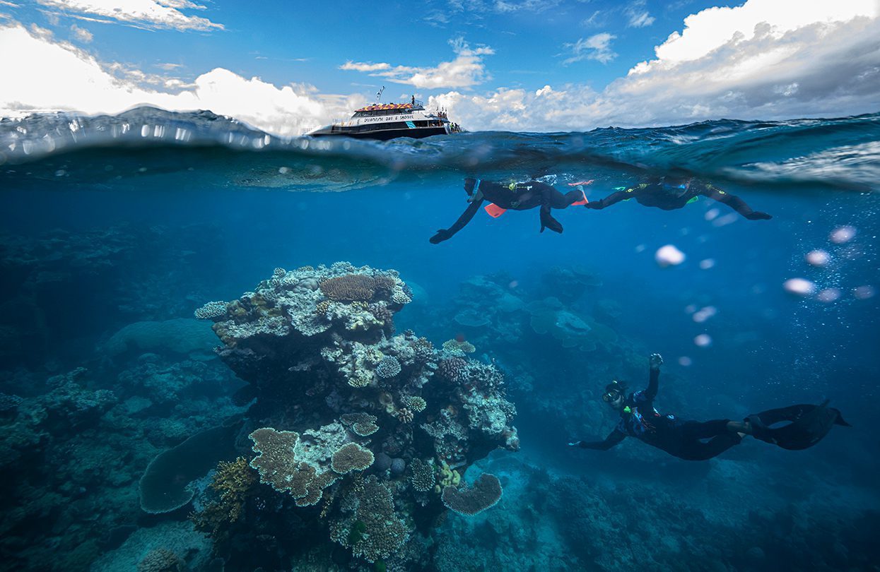 Dreamtime Dive and Snorkel, QLD, credit Tourism Australia