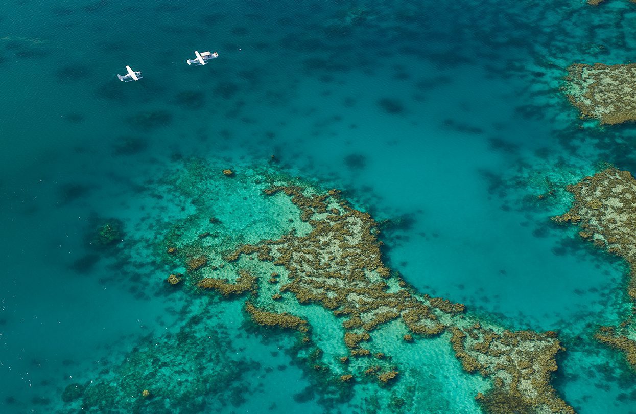 Hardy Reef, Great Barrier Reef, QLD credit Tourism Australia