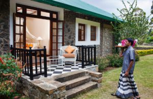 Ceylon Tea Trails