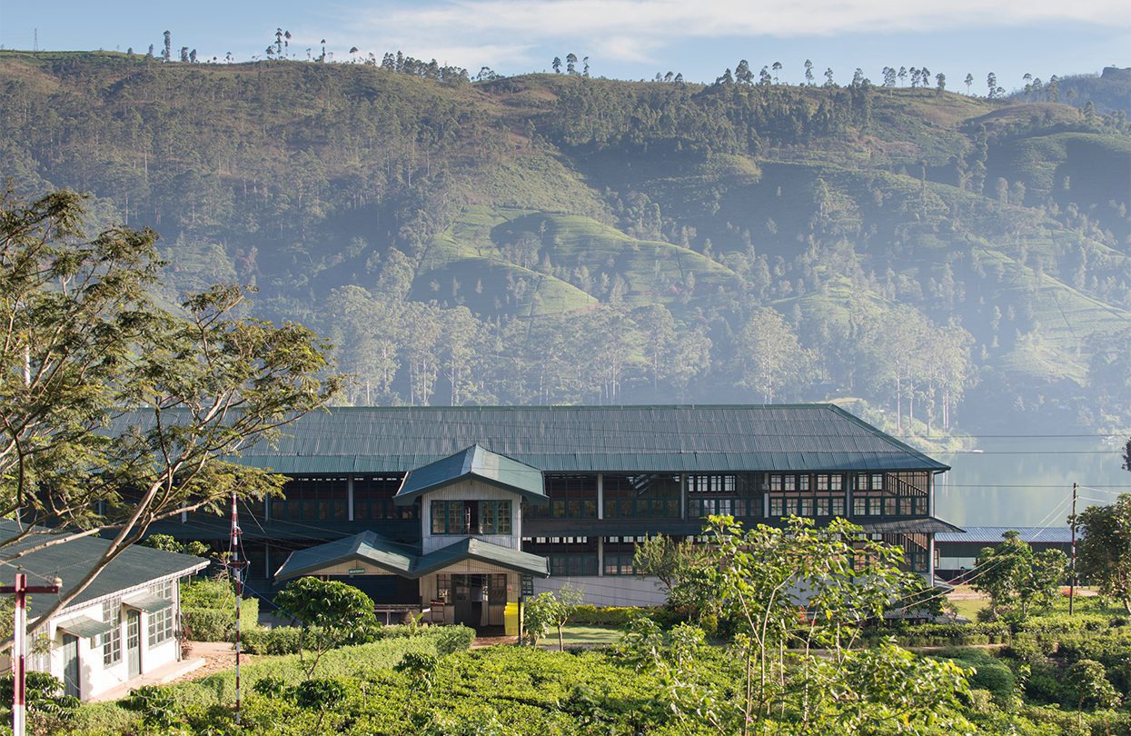 Ceylon Tea Trails tea factory