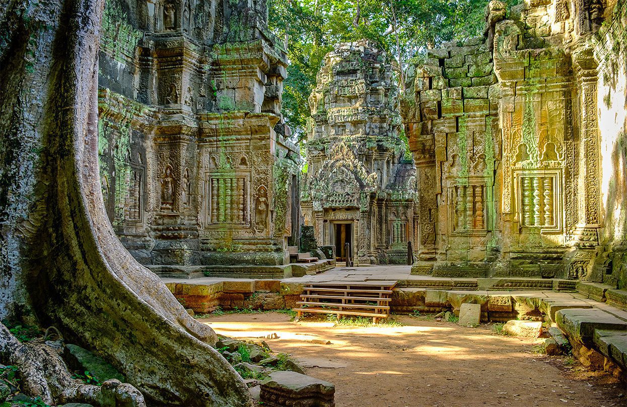 Ta Prohm temple in the morning light part of the Angkor Wat complex Seam Reap, by Mark R Croucher