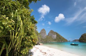 A white sand beach, fringed by coconut palms, leads to a sandy slope and eventually a coral reef in Raja Ampat, image by frantisekhojdysz, shutterstock