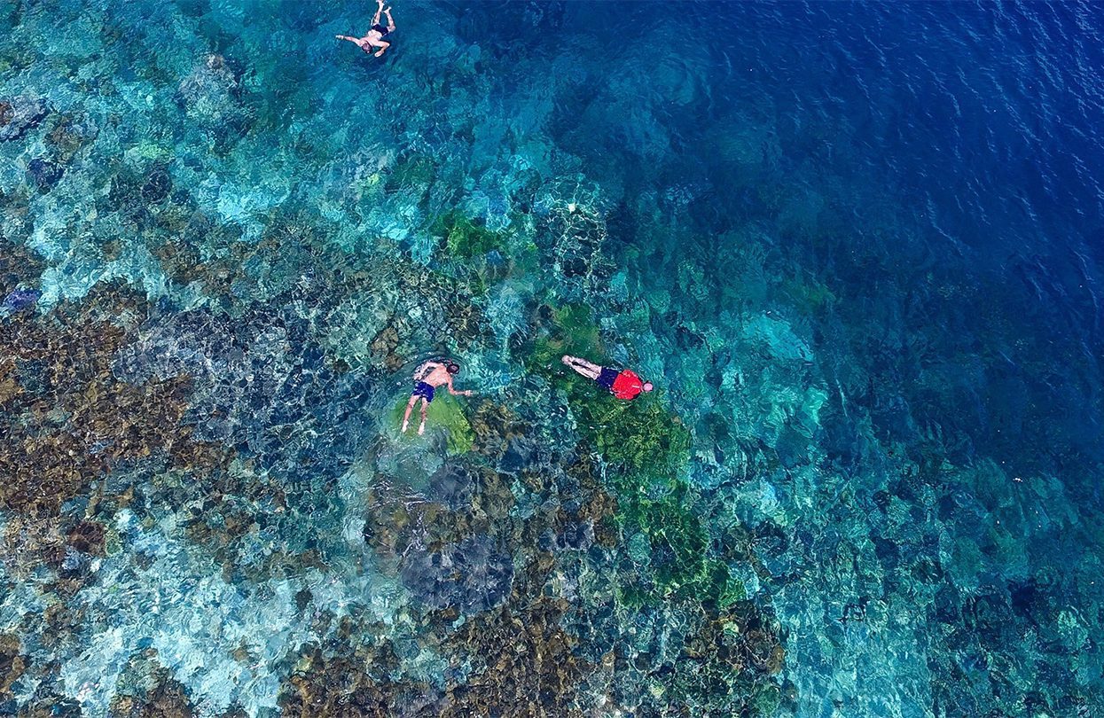 Snorkelling over the reef