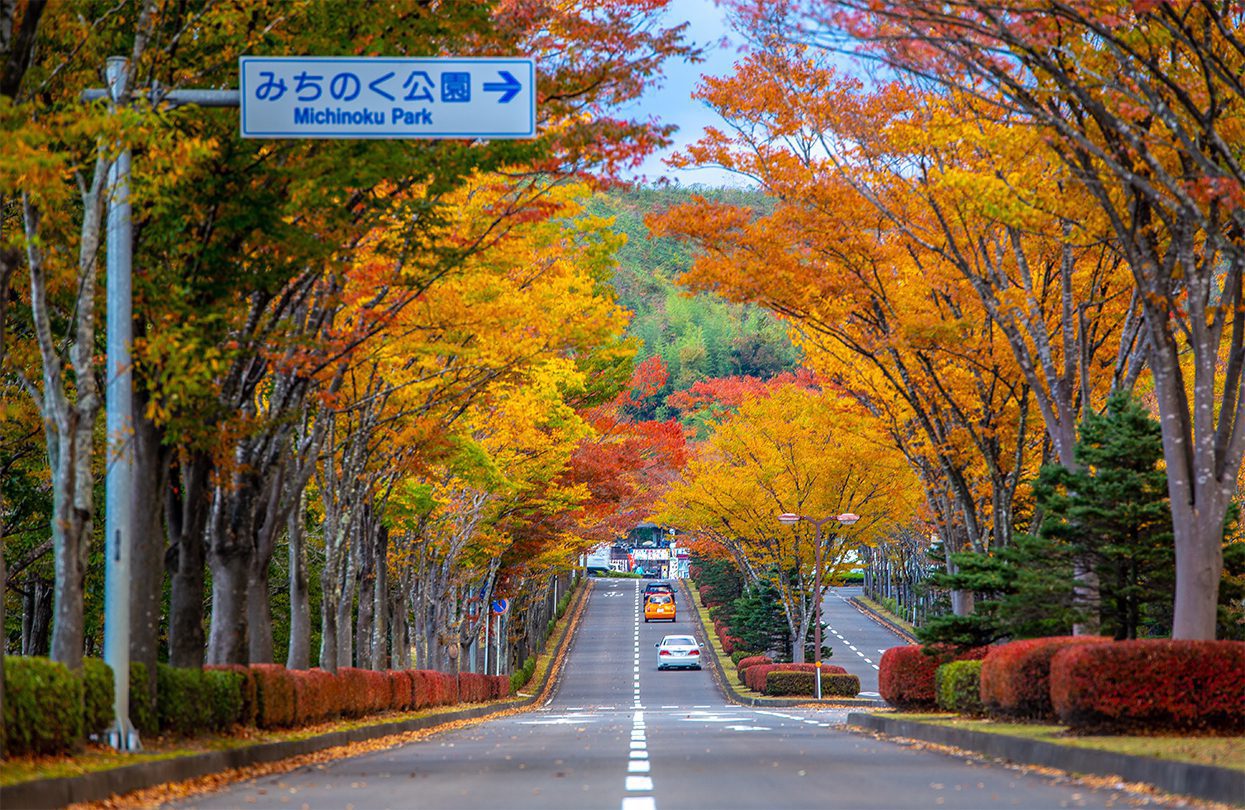 Peak period of autumn season for this wonderful road in Japan. There are beautiful fall foliage view in Tohok, by OttoPhoto