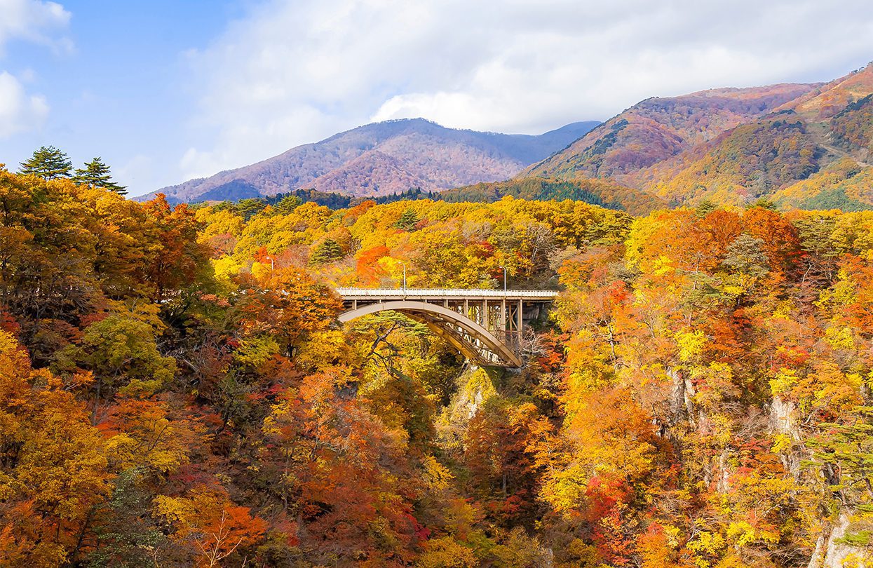 View of a bridge in crossing the Naruko Gorge near Sendai, Miyagi, Japan with trees with autumn color maple leaves all over the mountain in a sunny day, by Kapi Ng