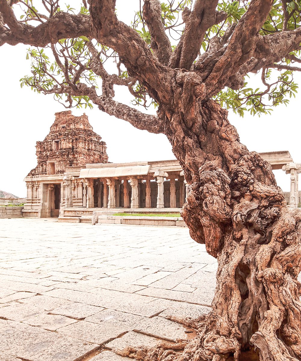 The UNESCO listed Vitthala temple is one of the biggest highlights within Hampi