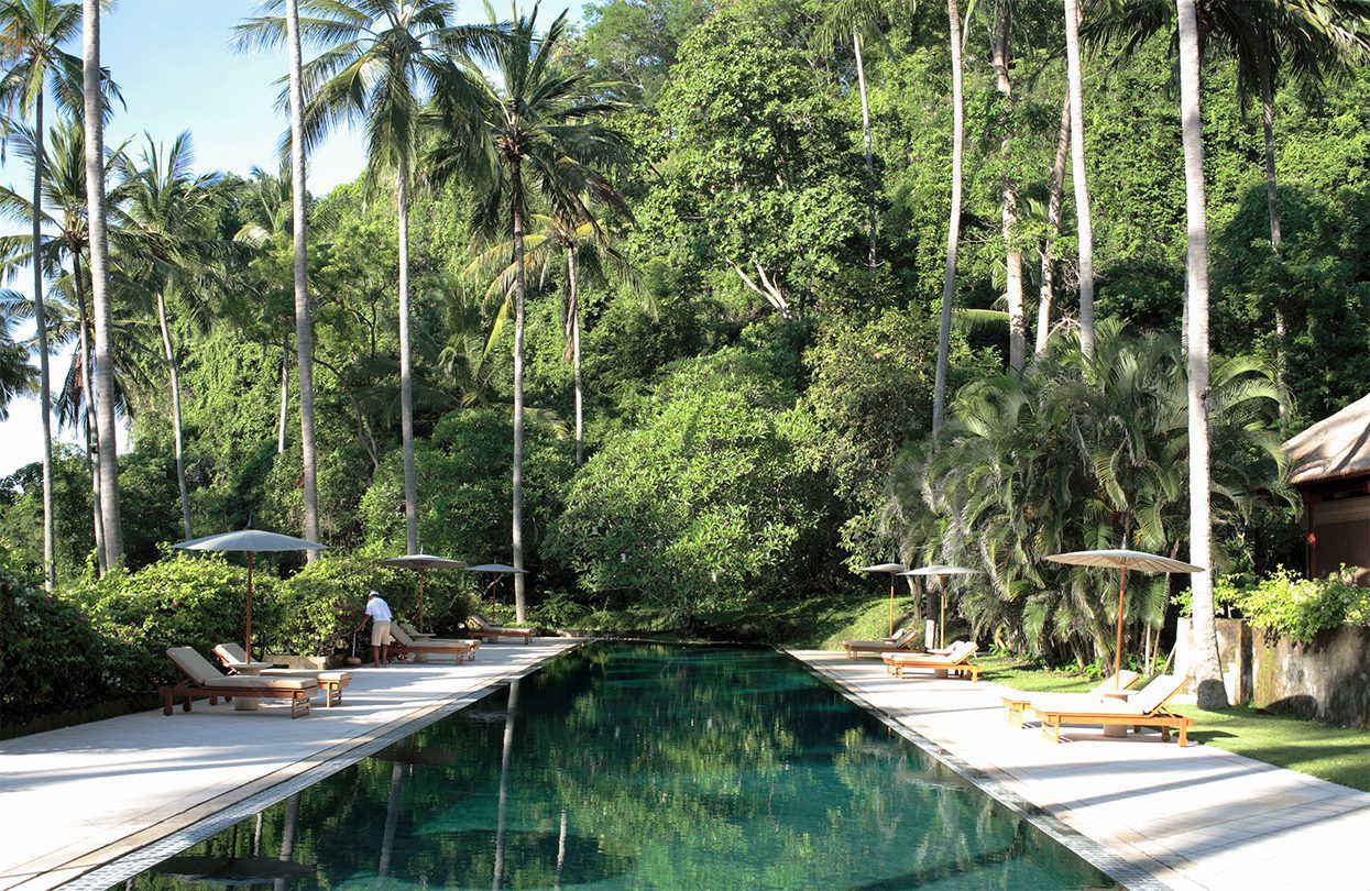 Amankila, Indonesia - Beach Club Lap Pool, Lush foliage of palm trees creates the perfect backdrop for Amankila