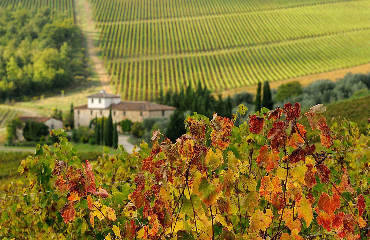 Farmhouse in Chianti with beautiful row of vineyards, By Dan74
