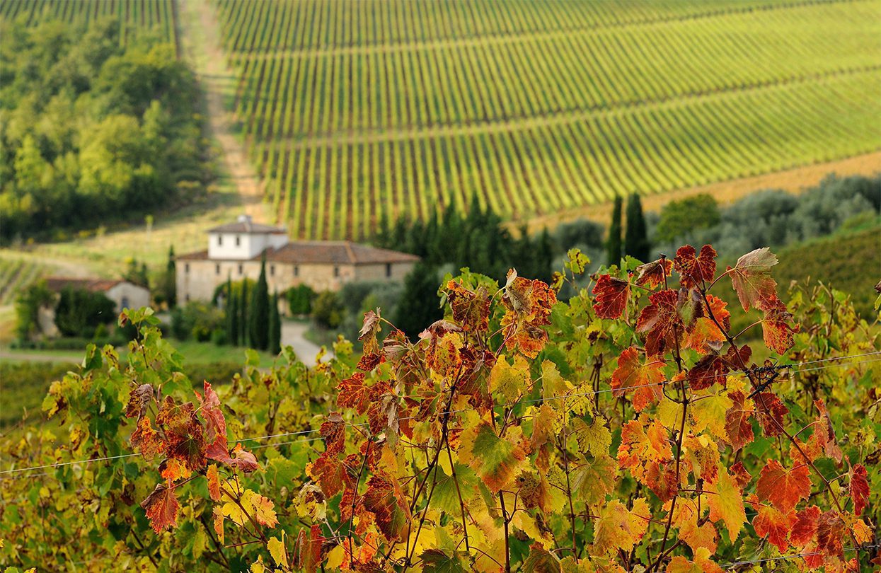 Agriturismo nel Chianti con splendidi vigneti, di Dan74