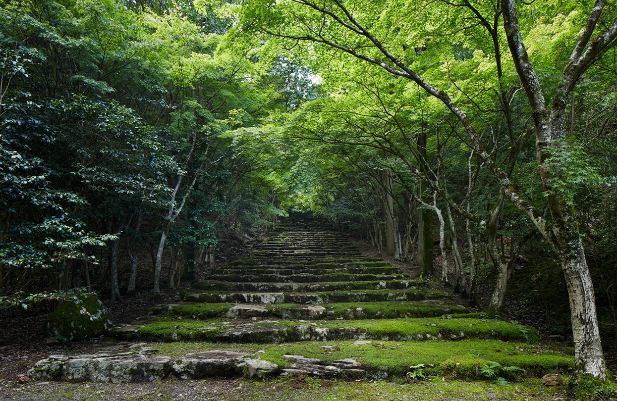 Steps to Tengamine Garden