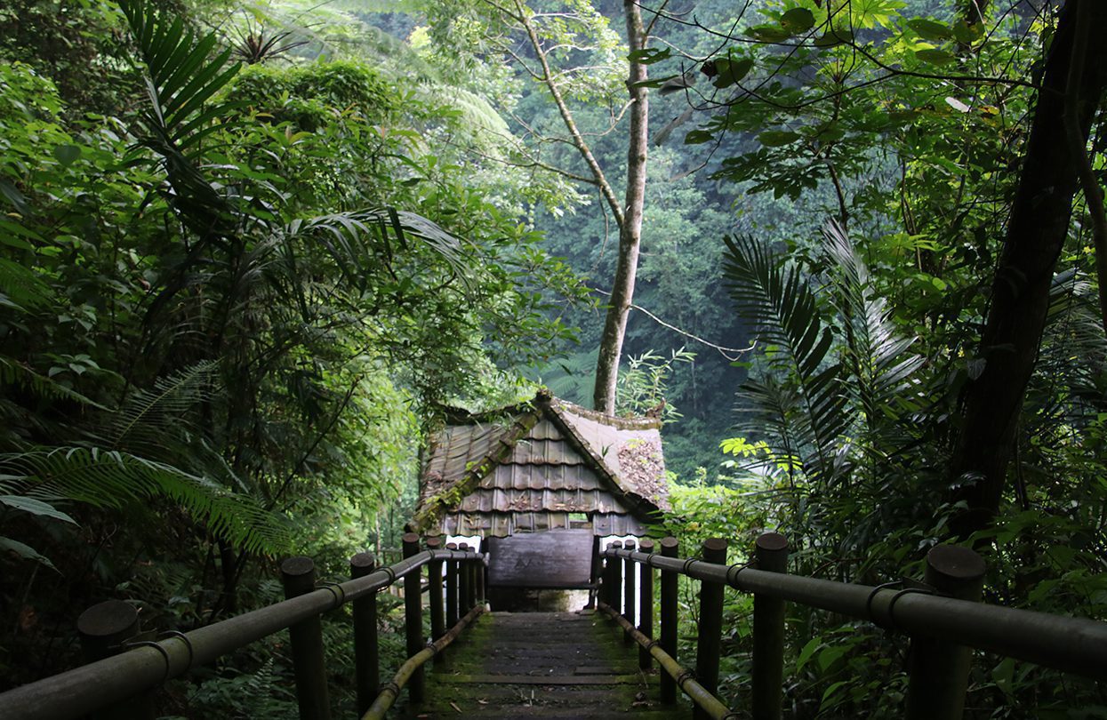 Waterfall hike in Bali