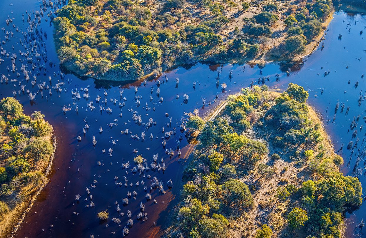 Okavango delta is one of the Seven Natural Wonders of Africa, by Vadim Petrakov