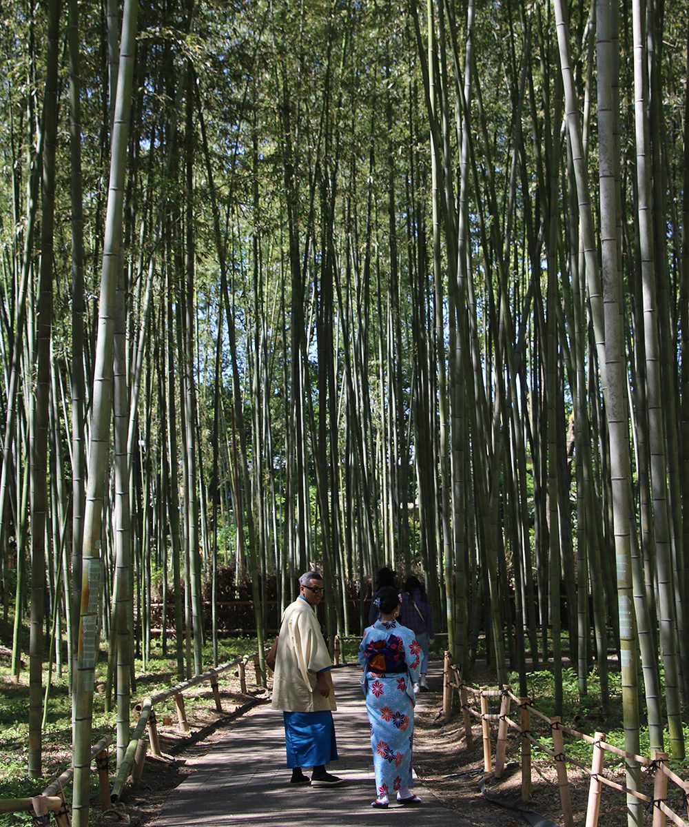 A couple strolls in Kyoto’s bamboo forest