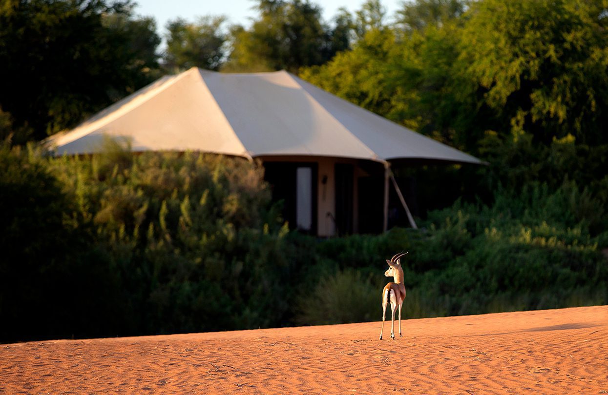 Al Maha Desert Resort, UAE