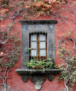 Bouganvillea-covered residential facade in the historic town centre