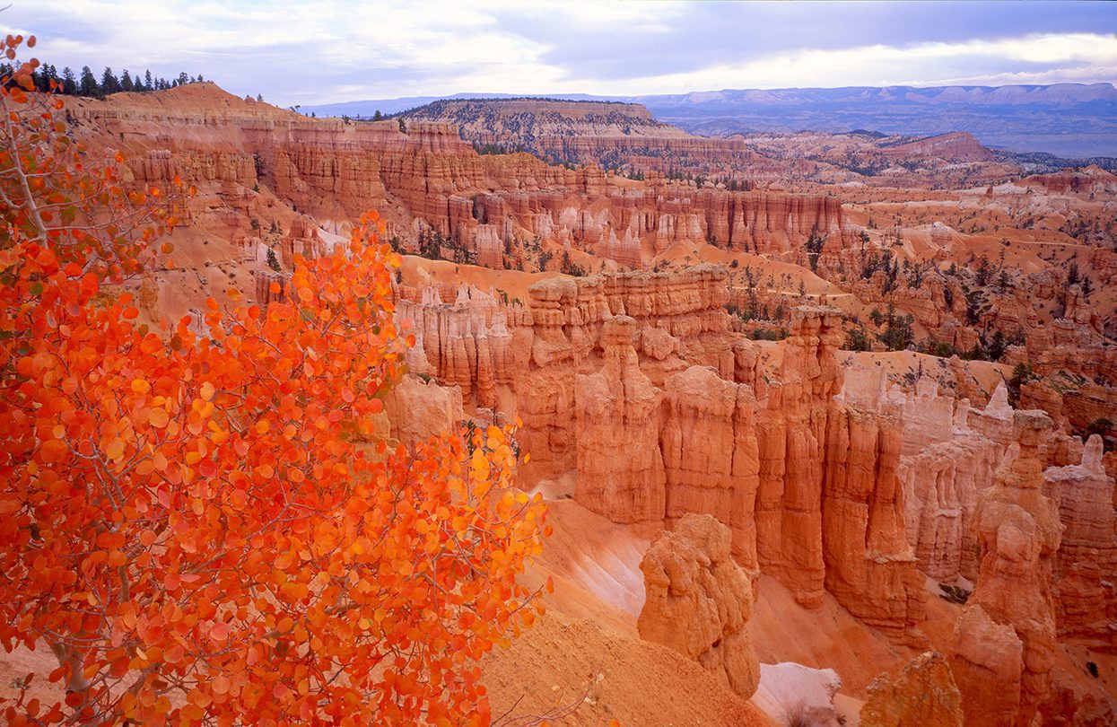 Sunset Point, Bryce Canyon NP, by Tom Till