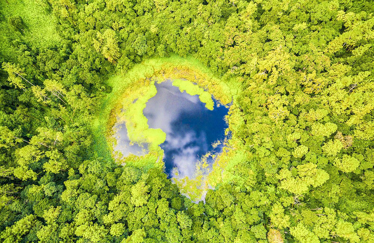 Trou Aux Cerf Volcano Curipipe in the tropical island jungle of Mauritius, photo by Quality Master