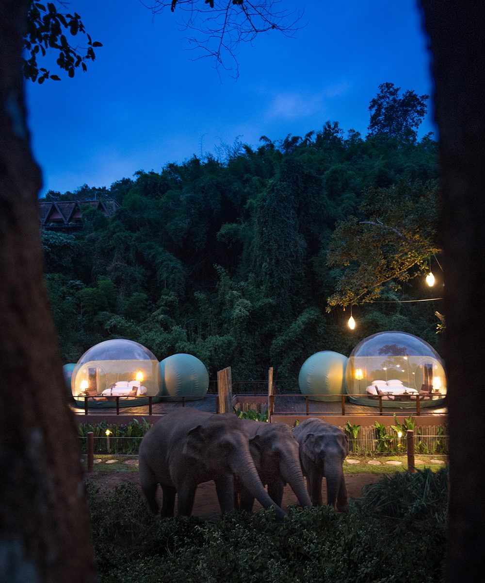 Anantara Golden Triangle Elephant Camp & Resort Jungle Bubbles at Dawn