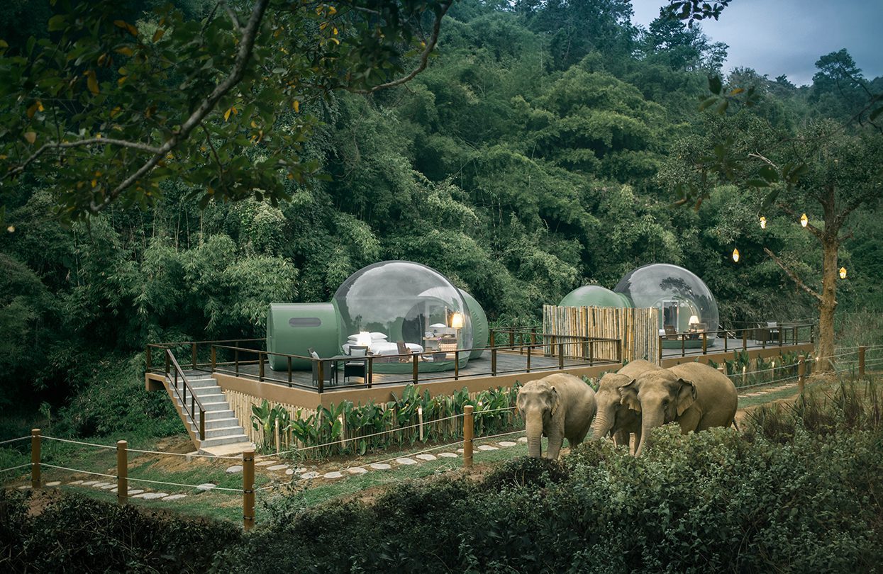 Anantara Golden Triangle Elephant Camp & Resort Jungle Bubbles at Dusk