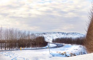 The benefit of a road trip is the gorgeous views from every curve of the road