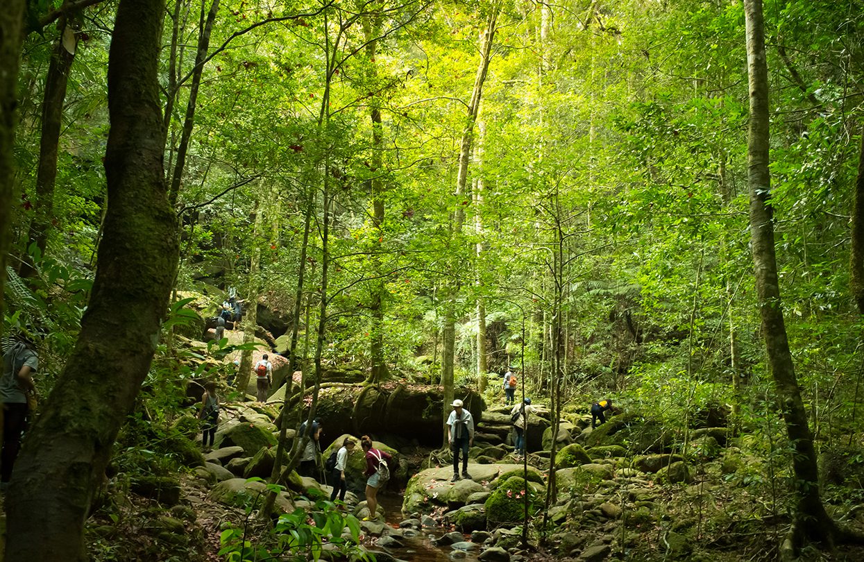 Phu Kradueng national park in Thailand, image by jekjob