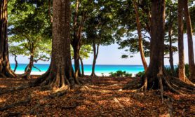 Stunning-view-of-Radhanagar-Beach-on-Havelock-Island-impage-by-Juergen-Wallstabe