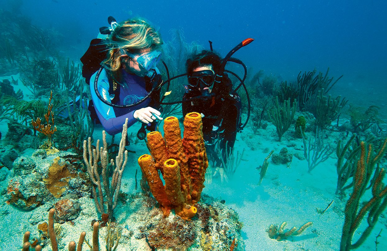 Dive Center at Petit St Vincent Private Island, Image by Jean-Michel Cousteau Diving