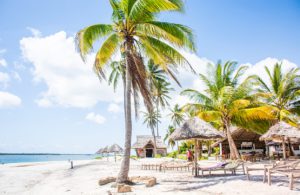 Mafia Island - Palms trees and the sea breeze epitomise days on the beach here